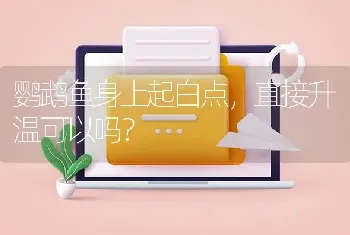 鹦鹉鱼身上起白点，直接升温可以吗？