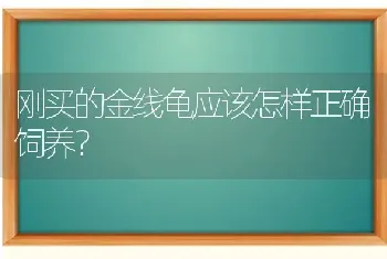 猫咪醒得太早怎么办？