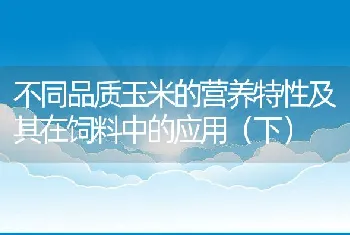 不同品质玉米的营养特性及其在饲料中的应用（下）