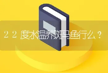 22度水温养斑马鱼行么？