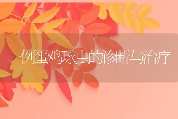 一例蛋鸡球虫的诊断与治疗