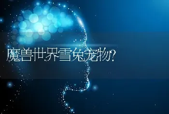 魔兽世界雪兔宠物？