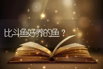 比斗鱼好养的鱼？