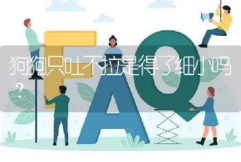 狗狗只吐不拉是得了细小吗？