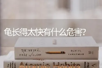 龟长得太快有什么危害？