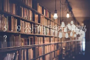 5.9公斤的手套布偶胖吗？