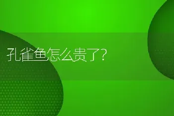 北方养兔有前景吗？