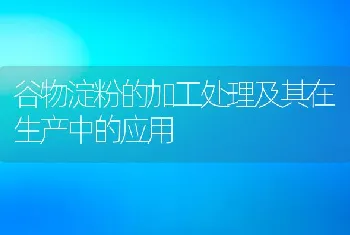 谷物淀粉的加工处理及其在生产中的应用