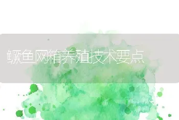 鳜鱼网箱养殖技术要点