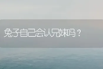 兔子自己会认兄妹吗？