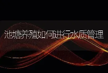 池塘养殖如何进行水质管理