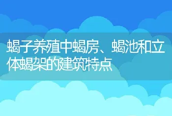 蝎子养殖中蝎房、蝎池和立体蝎架的建筑特点