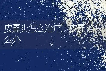 皮囊炎怎么治疗，皮囊炎怎么办