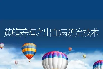 黄鳝养殖之出血病防治技术