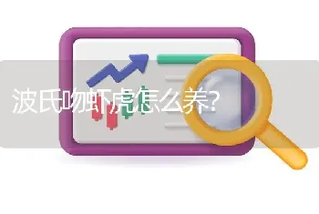 波氏吻虾虎怎么养？