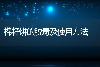 棉籽饼的脱毒及使用方法