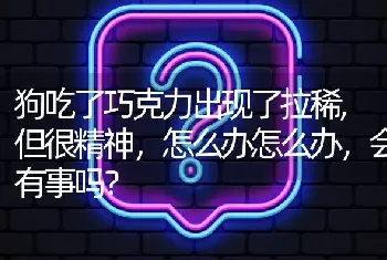 狗吃了巧克力出现了拉稀,但很精神，怎么办怎么办，会有事吗？