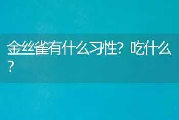 金丝雀有什么习性？吃什么？