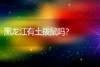 黑龙江有土拨鼠吗？