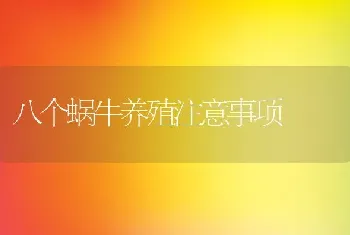 八个蜗牛养殖注意事项