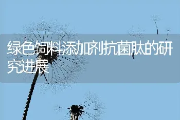 无公害黄鳝痉挛症和昏迷症的防治技术