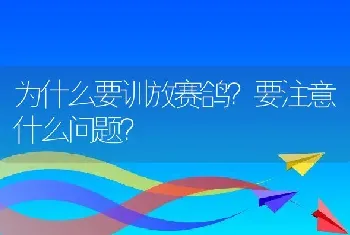 为什么要训放赛鸽？要注意什么问题？