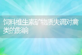 蛋鸭的营养需要