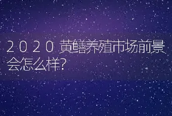 2020黄鳝养殖市场前景会怎么样？