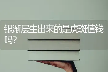 银渐层生出来的是虎斑值钱吗？