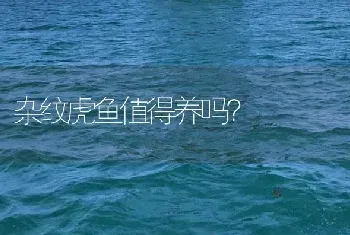 黑尾月光鱼繁殖温度？