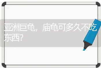 亚洲巨龟，庙龟可多久不吃东西？