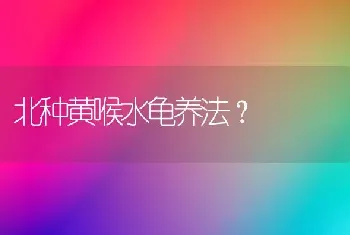 北种黄喉水龟养法？