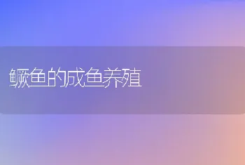 鳜鱼的成鱼养殖