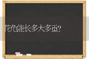 猫的眼屎很多，给猫强行喂黄连上清片行吗？