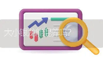 大小银龙能混养吗？