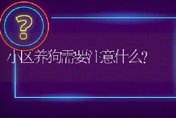 小区养狗需要注意什么？