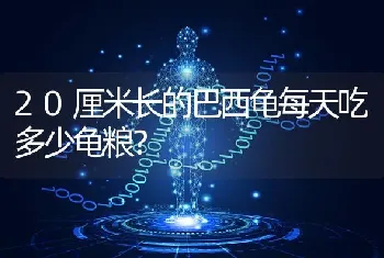 20厘米长的巴西龟每天吃多少龟粮？