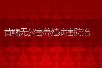 黄鳝无公害养殖病害防治