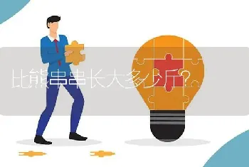 比熊串串长大多少斤？