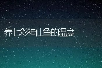 养七彩神仙鱼的温度