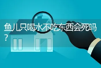 鱼儿只喝水不吃东西会死吗？