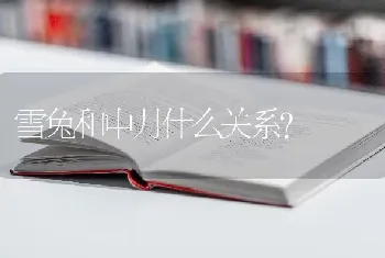 雪兔和中月什么关系？