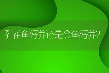 孔雀鱼好养还是金鱼好养？