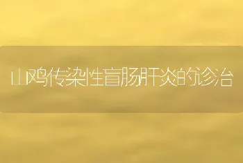 山鸡传染性盲肠肝炎的诊治