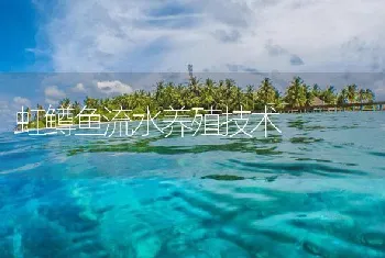 虹鳟鱼流水养殖技术