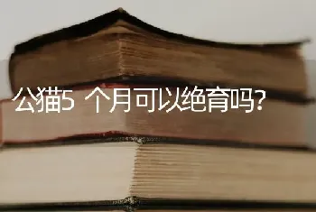 公猫5个月可以绝育吗？