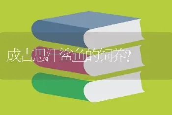 成吉思汗鲨鱼的饲养？