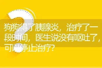 狗狗得了胰腺炎，治疗了一段时间，医生说没有呕吐了，可以停止治疗？