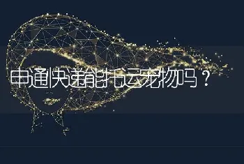 狗狗为什么突然疯了一样的叫？