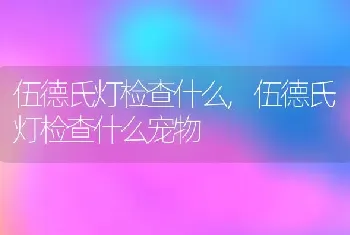 伍德氏灯检查什么，伍德氏灯检查什么宠物